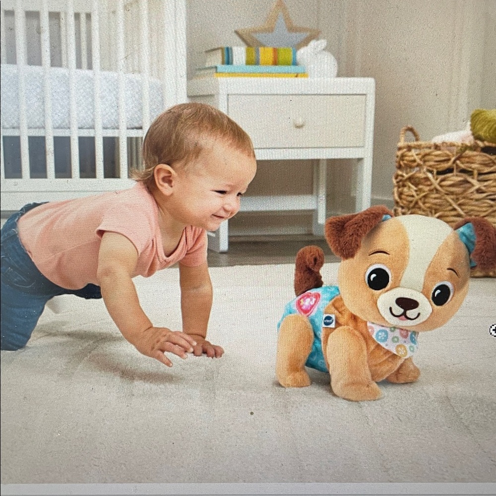 VTech Baby Explore and Move with Walking Puppy Plush Toy